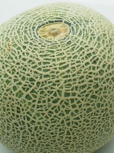P7170059